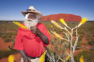 Traditional owner Reggie Uluru, 72, after eye surgery at Alice Springs Hospital. Photo: Barry Skipsey